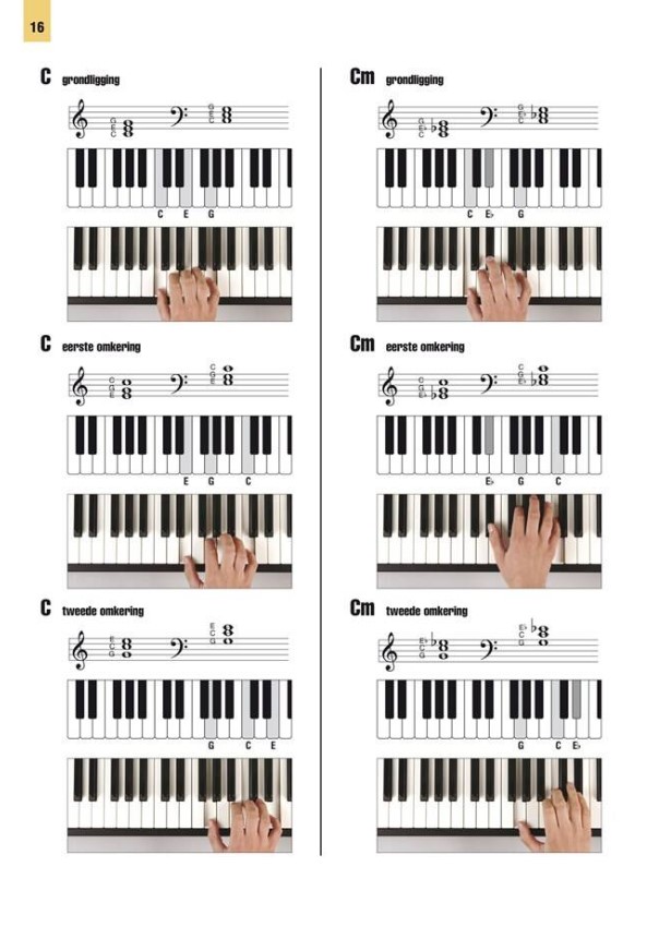 Akkoorden Deluxe voor Toetsinstrumenten