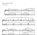 The Piano Player: Classical Piano Pieces