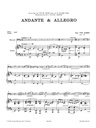 Andante & Allegro
