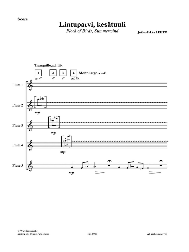 Flock of Birds for flute quintet
