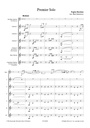 Premier Solo
