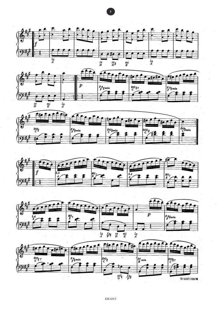 Klassisches Akkordeon