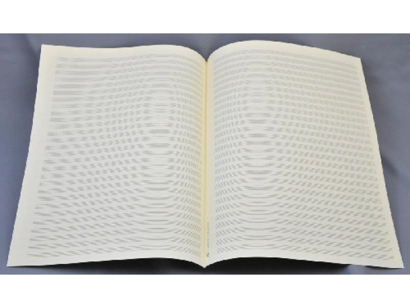 Muziekpapier Star 11/28 Quarto Formaat - 28 Notenbalken (5 Bladen)