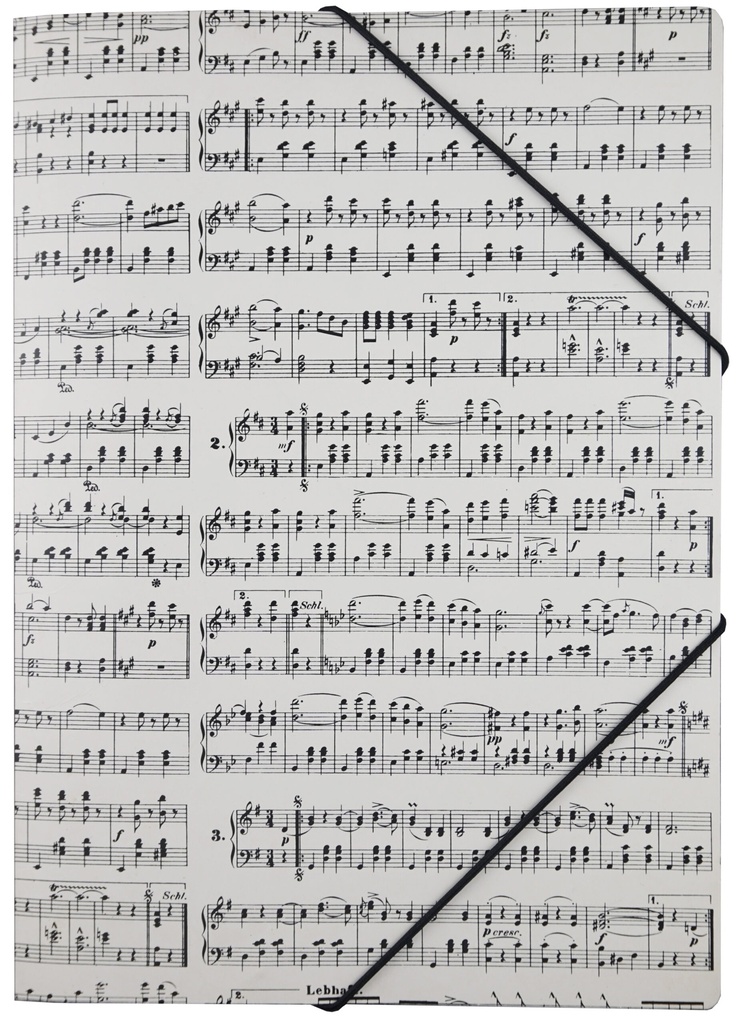 File with Elastic Band Strauss