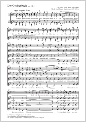 Der Gebirgsbach, Op.131/3
