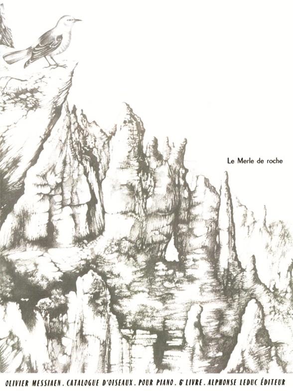 Catalogue d'oiseaux - Livre 6